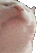 catjam