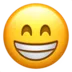 beamingfacewithsmilingeyes_1f601 beamingfacewithsmilingeyes_1f601
