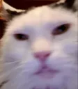 Big_what