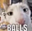 BALLS