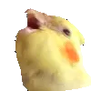 marshalverymad