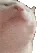 catJAM