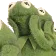 FOHKermitWeeee