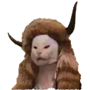 horns horns