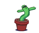 dancingcactus