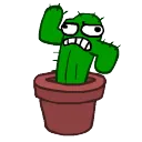 angrycactus
