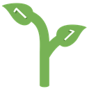 Seed Discord emoji