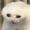 cri