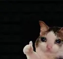 Thumbsupcat thumbsupcat Discord Emoji