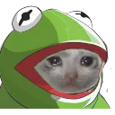 yamatasadfrog