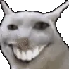 weshy