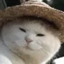 Suscat suscat Discord Emoji