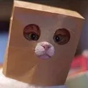 mysterycat Discord Emoji