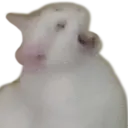 Ny Aaa nyaaa Discord Emoji