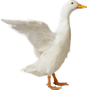 (emoji) :goose: