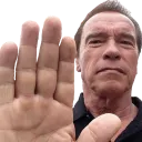 halt