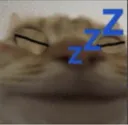 tfcatsleep