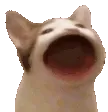 pop
