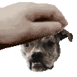 PetTheEllie