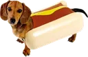 glizzydog