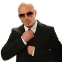 pitbullTIE