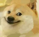 cd_natkhatdoge