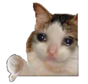 nothanksfinal