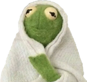 KermitBlanketShy Discord emoji