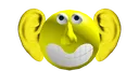 blank