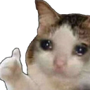 catto_cry Discord emoji