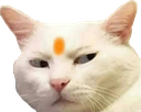 bhaktCat Discord emoji