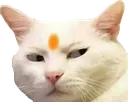 bhaktCat Discord Emoji
