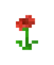 Poppy
