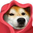 mikkaaCosy