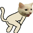 sls0a_cattotwerk Discord Emoji