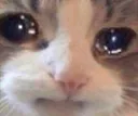 emoji_60