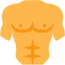 Torso