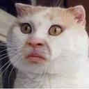 wat