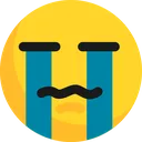 MW_Cry