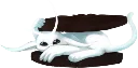 orio