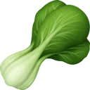 bokchoy bokchoy