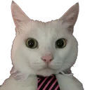 business