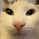 799050644471152670.webp