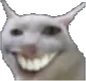 catwhasgud