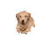 DoggerArrive
