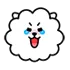 rj_cry_laugh Discord Emoji