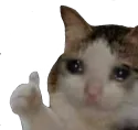 sadthumbs sadthumbs