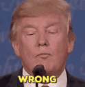 trump_gif_wrong