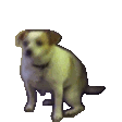 JamesPls Discord emoji