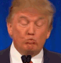 trump_gif_bopping